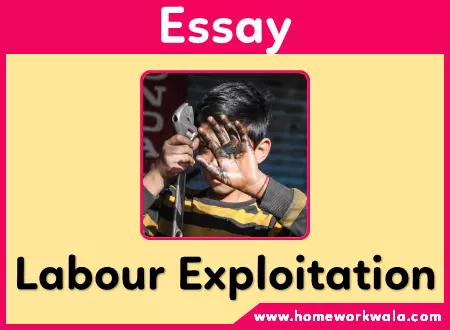 Essay on Labour Exploitation