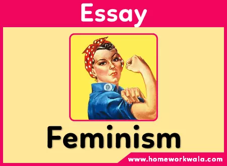 Essay on Feminism in English