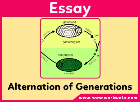 Essay on Alternation of Generation