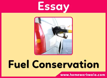 essay on Fuel Conservation in English