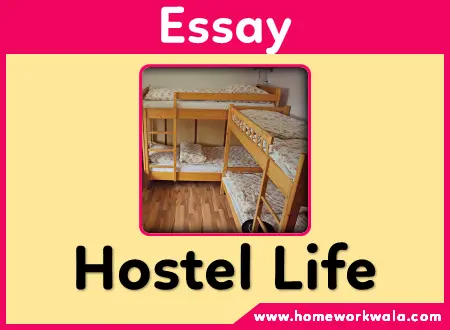 Essay on Hostel Life