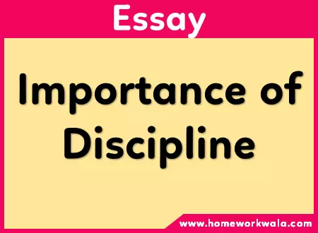 essay on Importance of Discipline