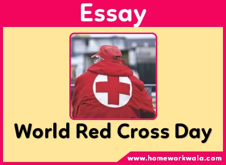 essay on world Red Cross Day in English