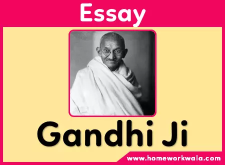 essay on Gandhiji in English
