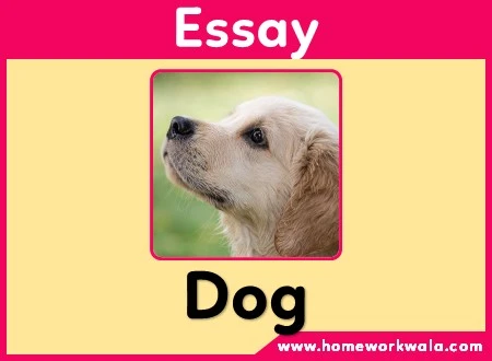 short essay on Dog