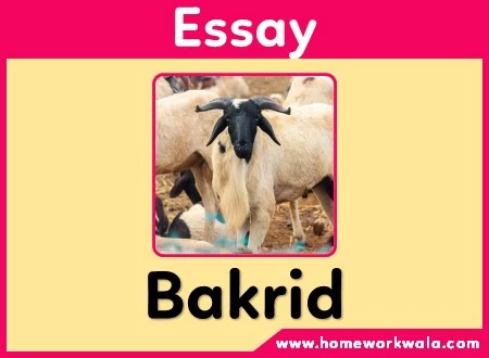 Essay on Bakrid