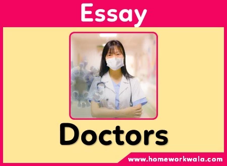 essay on Doctors