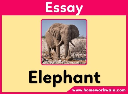 Short essay on Elephant