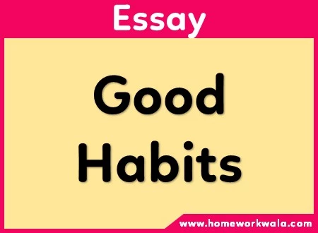 essay on Good Habits
