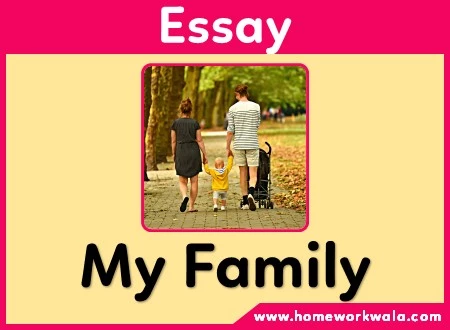 short essay on my family