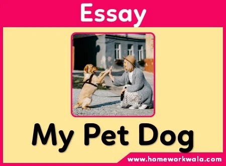 short essay on My Pet Dog