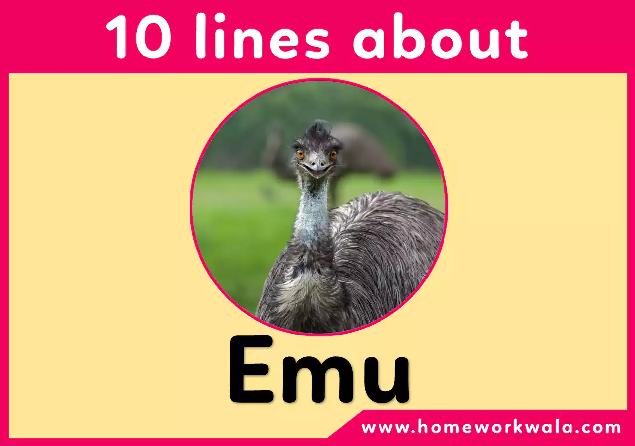 10 lines on Emu in English