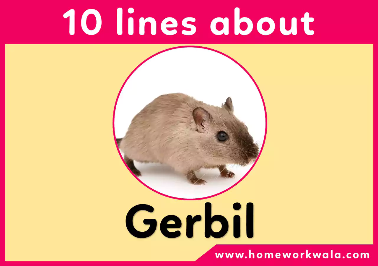 10 lines about Gerbil