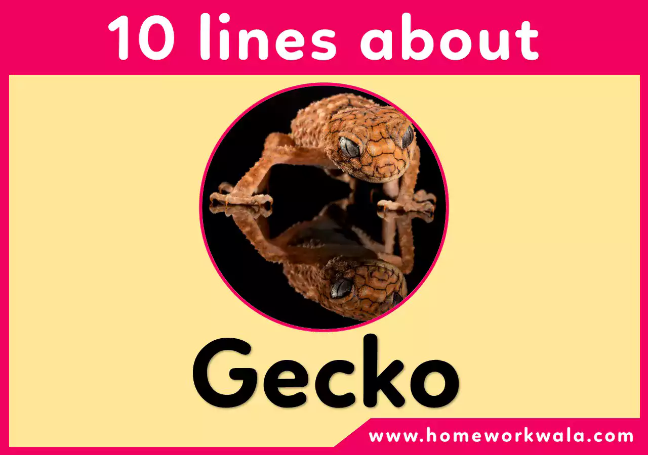 10 lines about Gecko in English