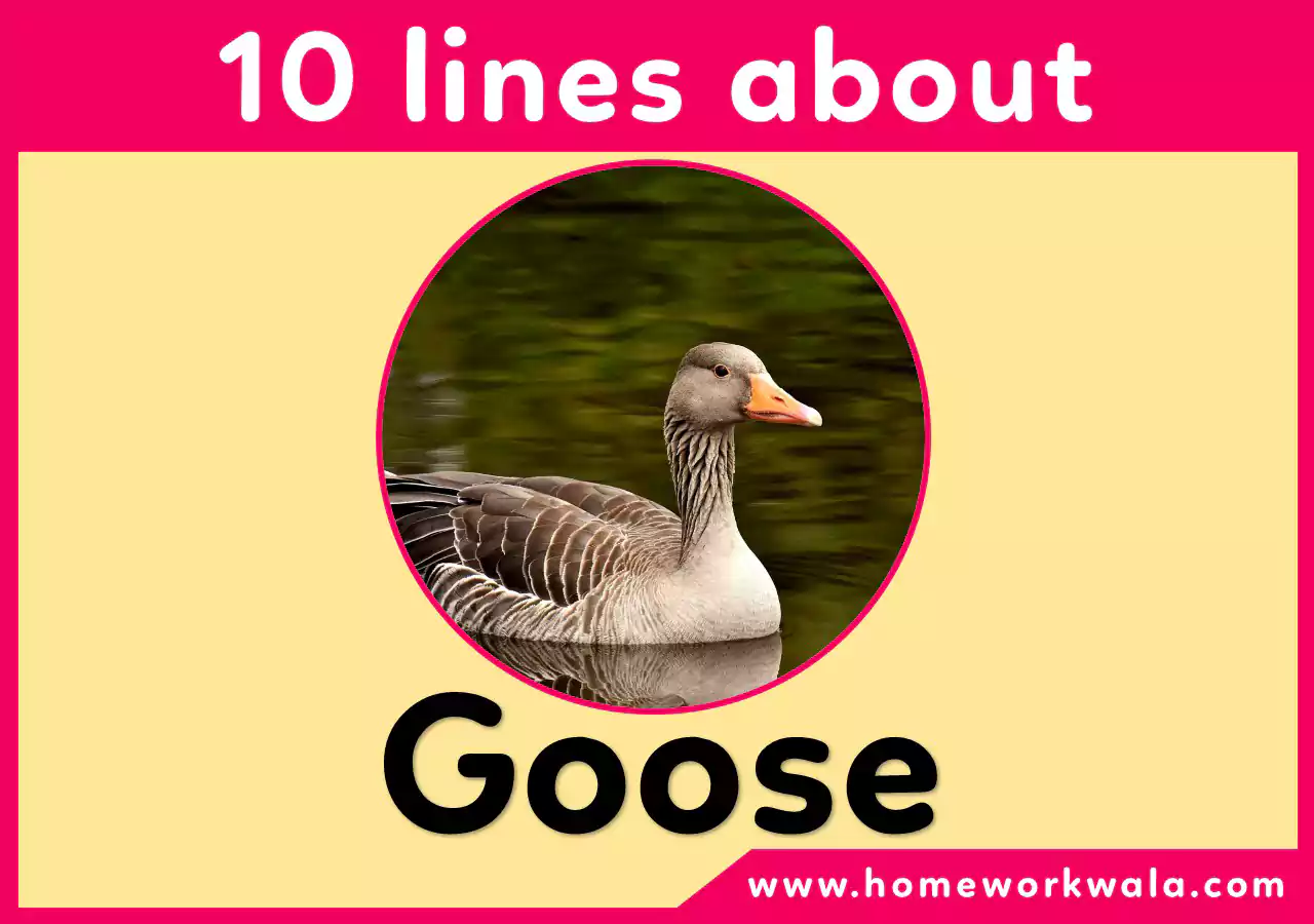 10 lines about Goose