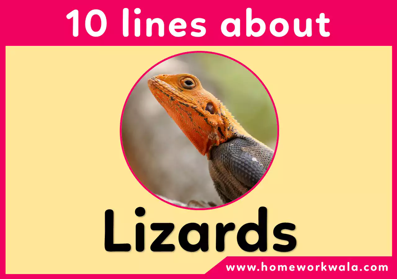 10 lines about lizard in english