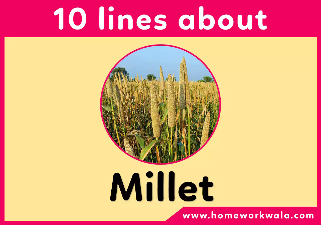 10 lines about Millet