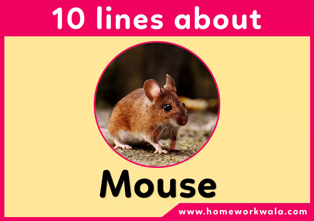 10 lines about Mouse for class 3