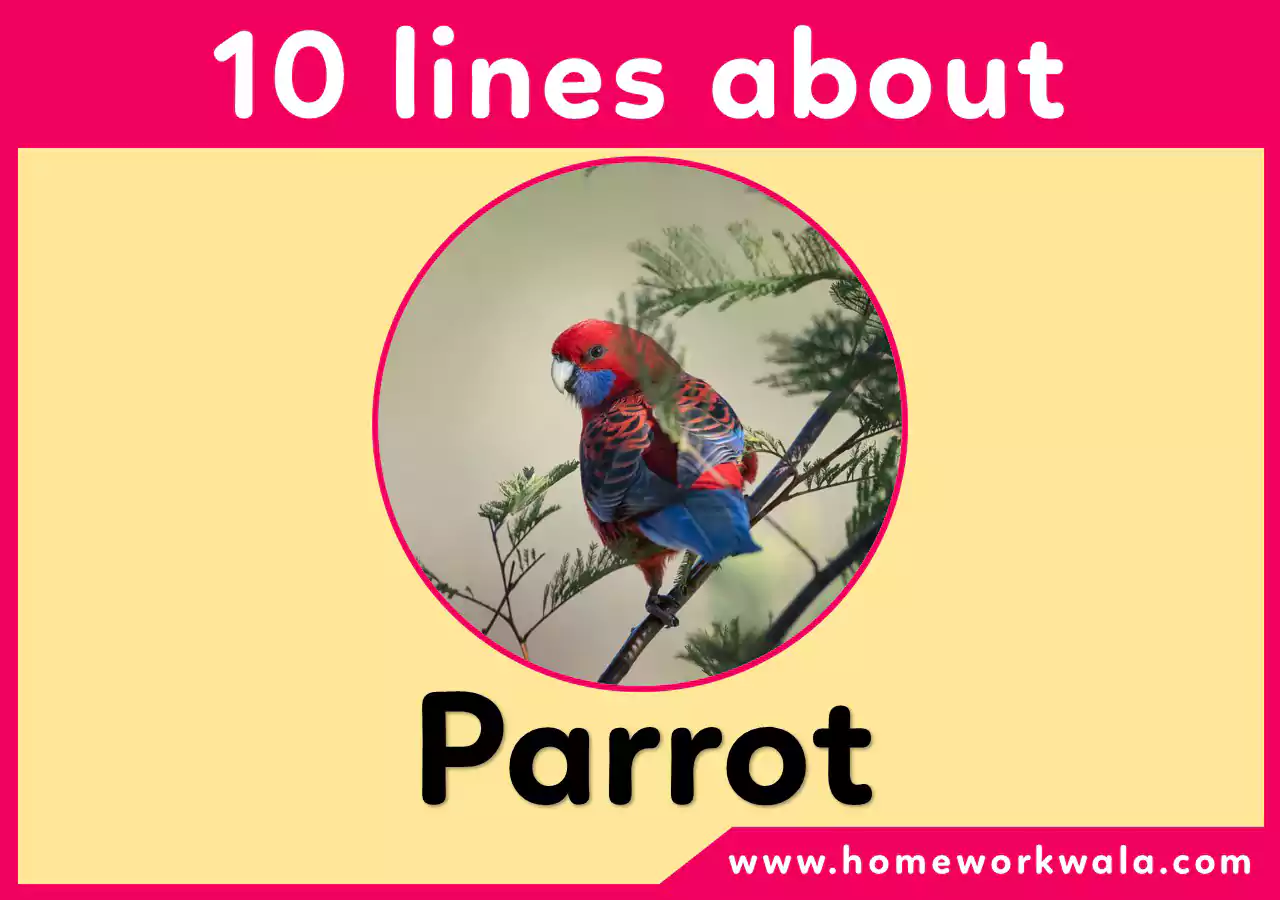 10 lines about Parrot