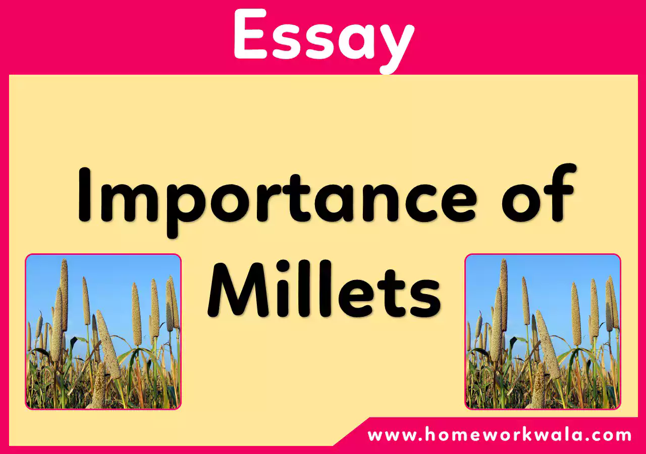 essay on millets in english 300 words