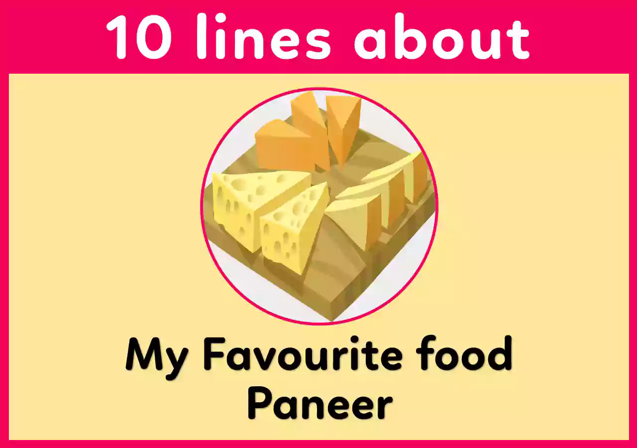 10 lines on my favourite food Paneer