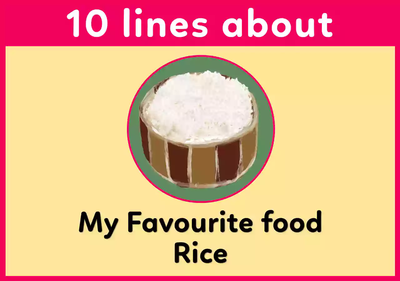 10 lines on my favourite food Rice