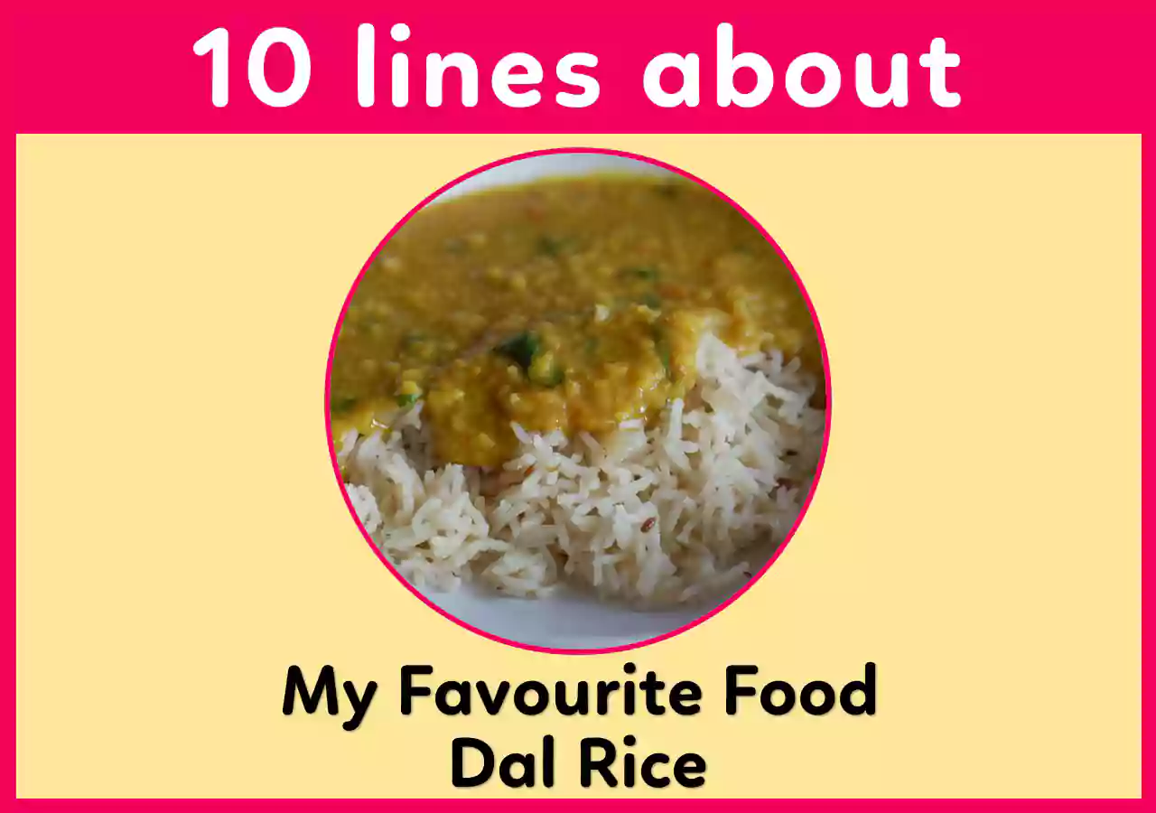 10 lines on my favourite food Dal Rice