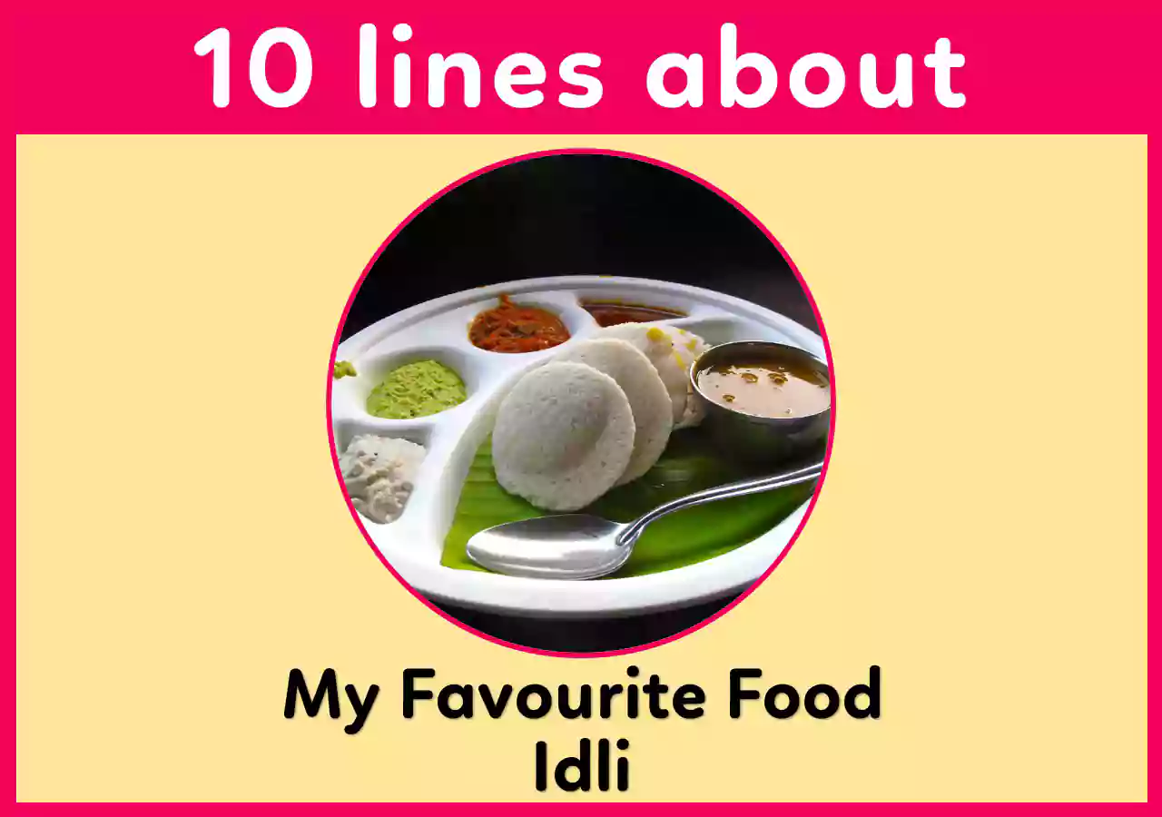 10 lines on My Favourite Food Idli