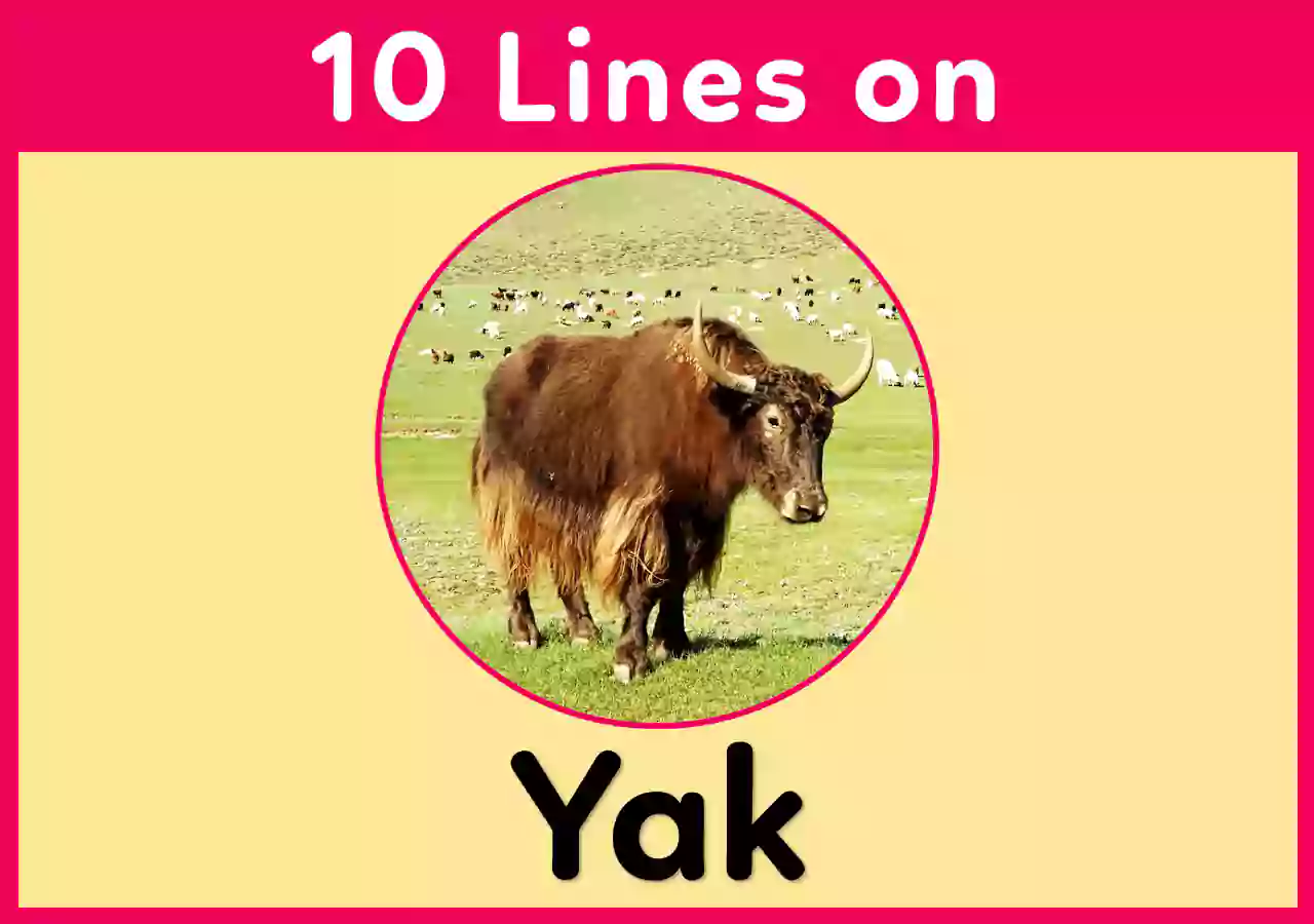 10 Lines Essay on Yak