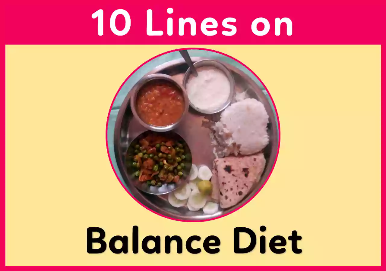 10 Lines Essay on Balance Diet