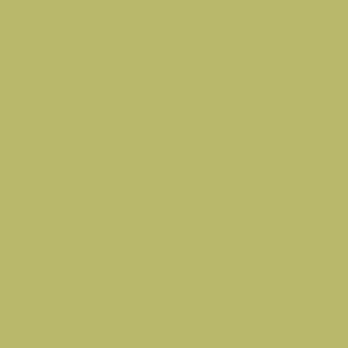 Olive colour